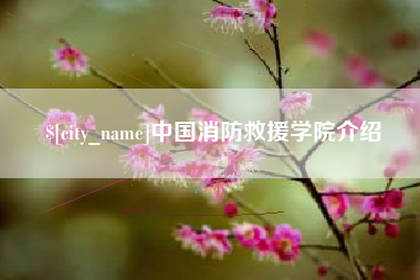 新安中国消防救援学院介绍