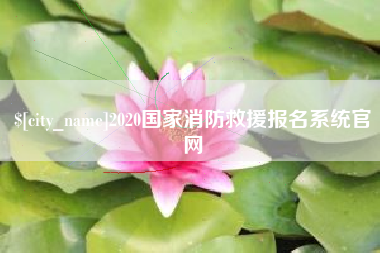 新安2020国家消防救援报名系统官网