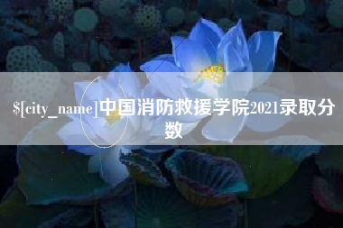 新安中国消防救援学院2021录取分数