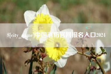新安中国消防官网报名入口2024