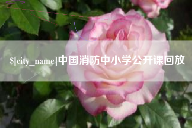 新安中国消防中小学公开课回放