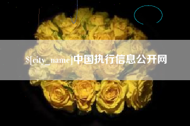 新安中国执行信息公开网