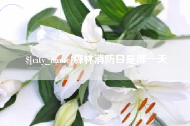 新安森林消防日是哪一天