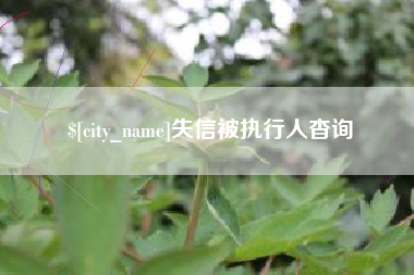 新安失信被执行人杳询