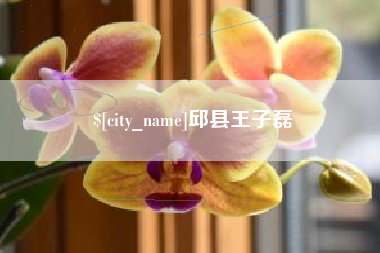 新安邱县王子磊