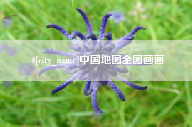 新安中国地图全图画画