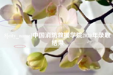 新安中国消防救援学院2020年录取结果