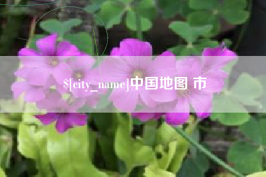 新安中国地图 市