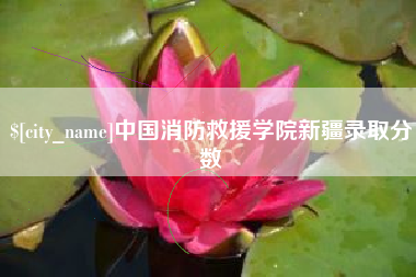 新安中国消防救援学院新疆录取分数