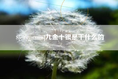 新安九金十银是干什么的