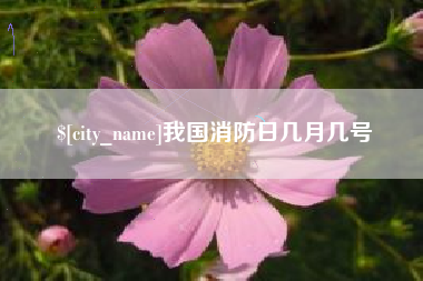 新安我国消防日几月几号