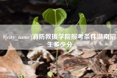新安消防救援学院报考条件湖南招生多少分