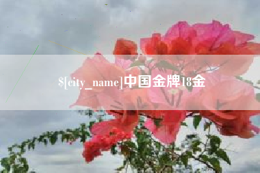 新安中国金牌18金