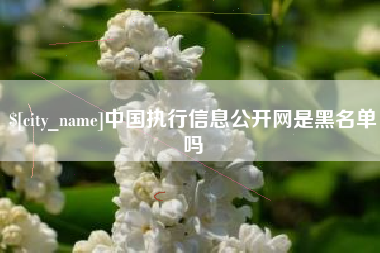 新安中国执行信息公开网是黑名单吗