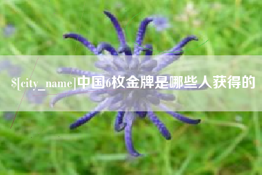 新安中国6枚金牌是哪些人获得的