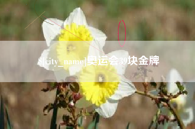 新安奥运会39块金牌