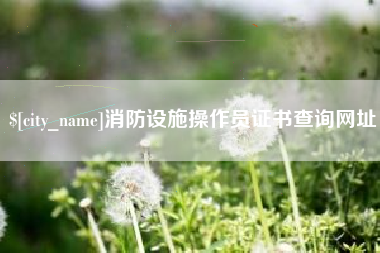 新安消防设施操作员证书查询网址