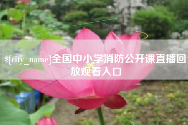 新安全国中小学消防公开课直播回放观看入口