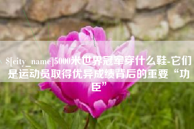 新安5000米世界冠军穿什么鞋-它们是运动员取得优异成绩背后的重要“功臣”