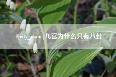 新安九宫为什么只有八卦