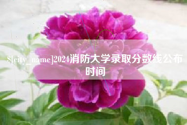 新安2024消防大学录取分数线公布时间