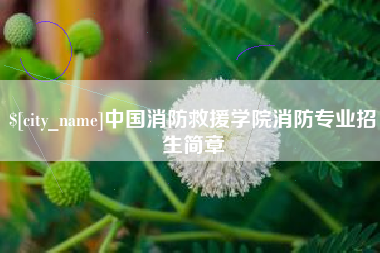 新安中国消防救援学院消防专业招生简章