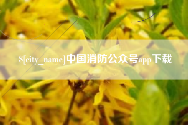 新安中国消防公众号app下载