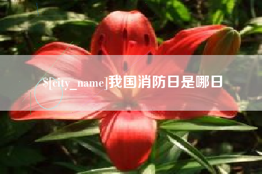 新安我国消防日是哪日
