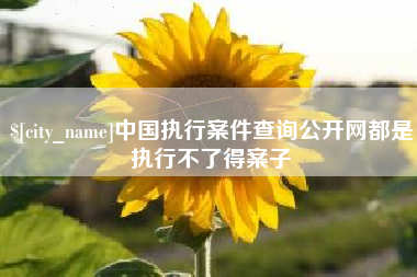 新安中国执行案件查询公开网都是执行不了得案子