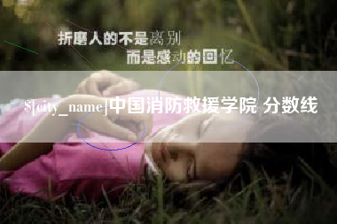 新安中国消防救援学院 分数线