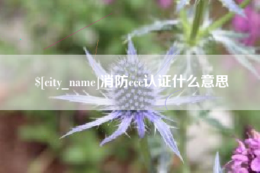 新安消防ccc认证什么意思