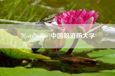 新安中国的消防大学