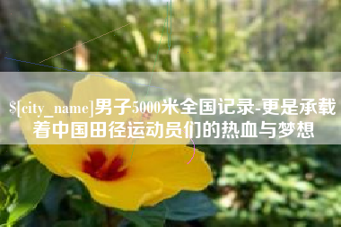 新安男子5000米全国记录-更是承载着中国田径运动员们的热血与梦想