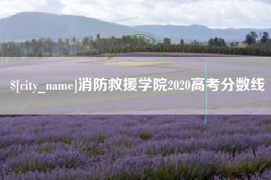 新安消防救援学院2020高考分数线