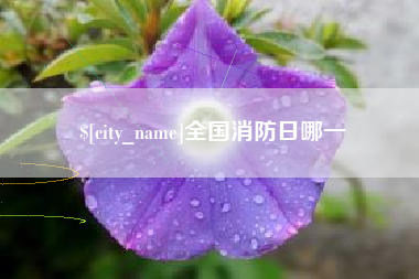 新安全国消防日哪一