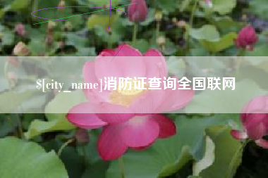 新安消防证查询全国联网