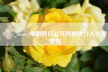 新安中国执行公开网被执行人名单查询