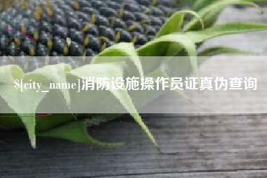 新安消防设施操作员证真伪查询