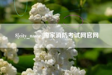 新安国家消防考试网官网
