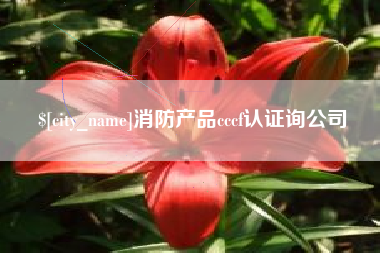 新安消防产品cccf认证询公司