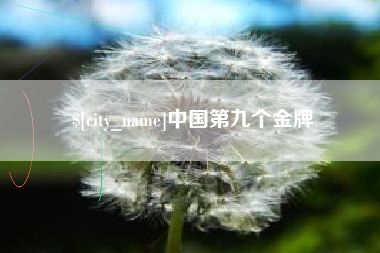 新安中国第九个金牌