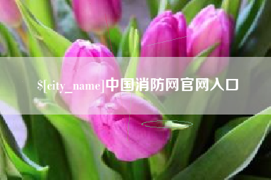 新安中国消防网官网入口