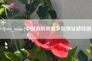 新安中国消防救援学院地址路线图