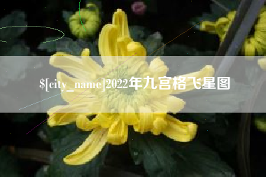 新安2022年九宫格飞星图