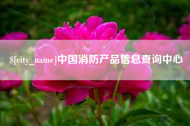 新安中国消防产品信息查询中心