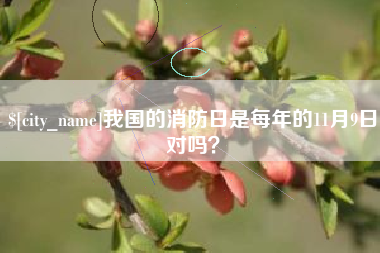 新安我国的消防日是每年的11月9日对吗？