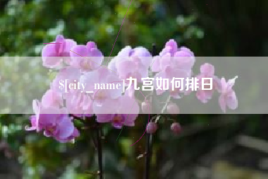 新安九宫如何排日