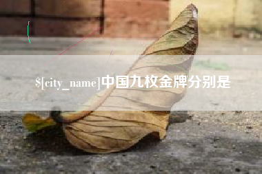 新安中国九枚金牌分别是