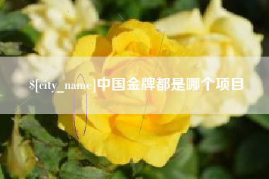 新安中国金牌都是哪个项目