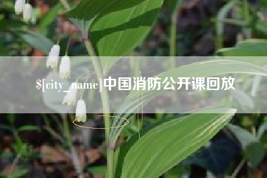 新安中国消防公开课回放